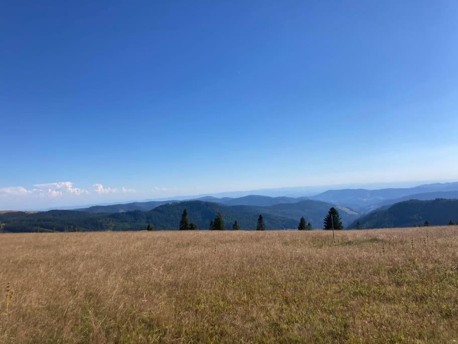 Feldberg Apartment - Direkt An Der Skipiste - Mit Sauna Exterior foto