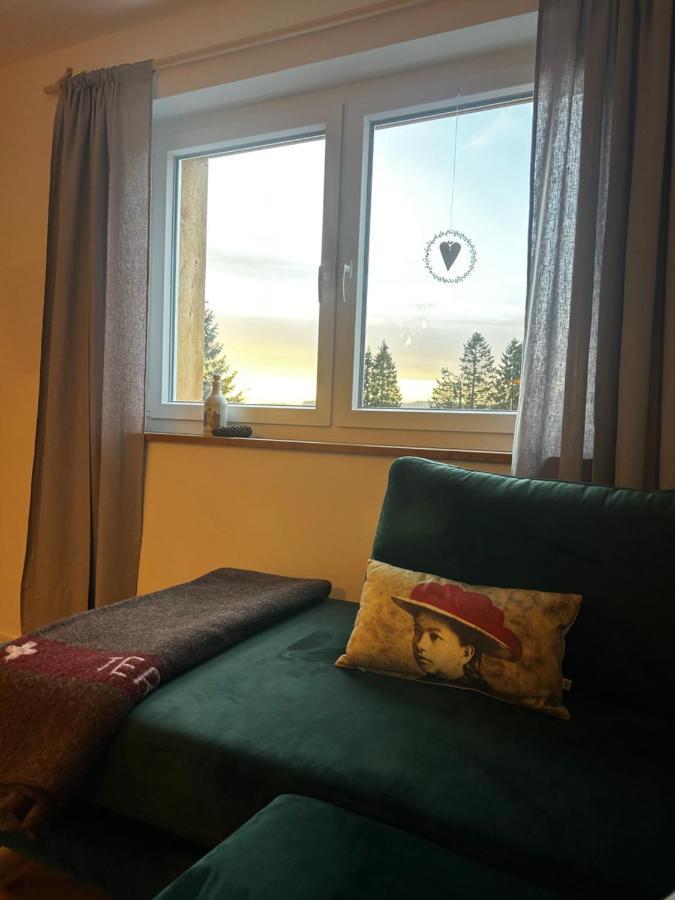 Feldberg Apartment - Direkt An Der Skipiste - Mit Sauna Exterior foto