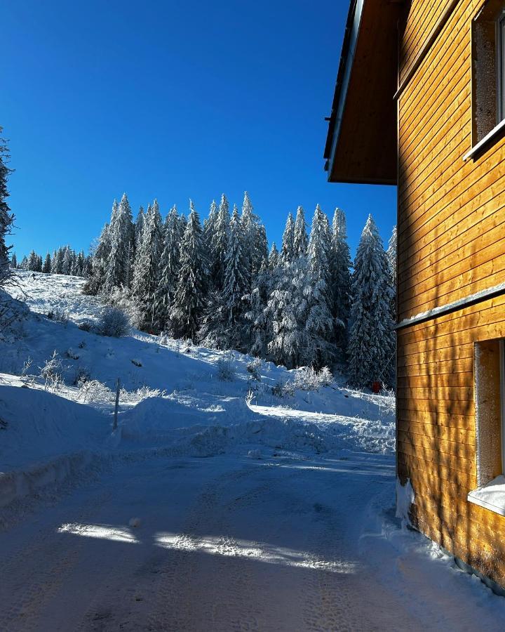 Feldberg Apartment - Direkt An Der Skipiste - Mit Sauna Exterior foto