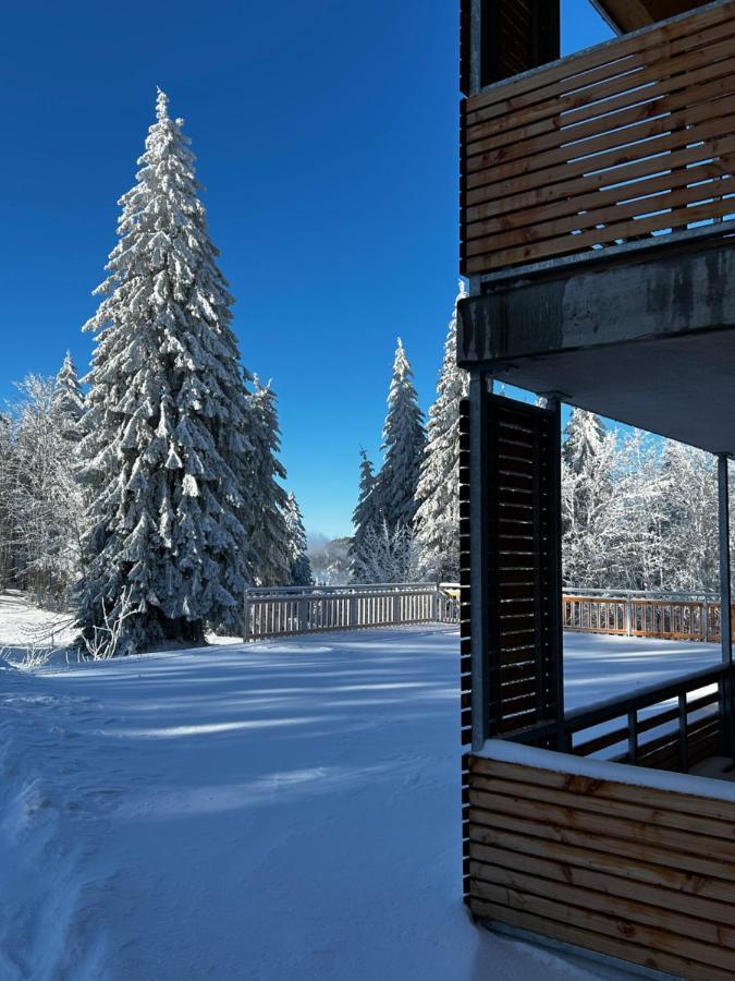 Feldberg Apartment - Direkt An Der Skipiste - Mit Sauna Exterior foto