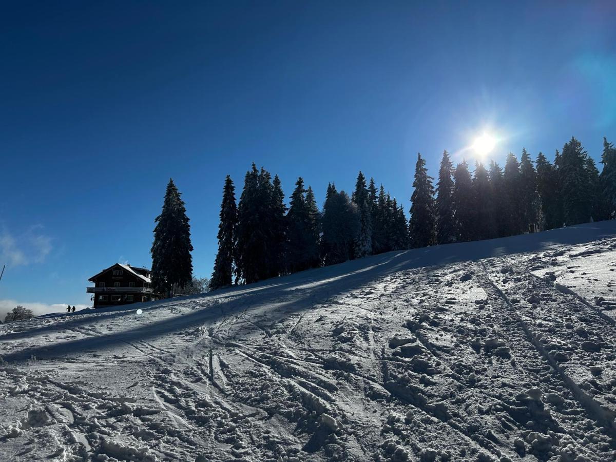 Feldberg Apartment - Direkt An Der Skipiste - Mit Sauna Exterior foto