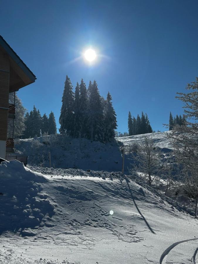 Feldberg Apartment - Direkt An Der Skipiste - Mit Sauna Exterior foto